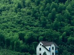 -安吉龙王山峡谷漂流