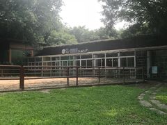 -马咖啡macup·意式轻餐·观景餐厅
