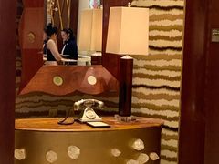 -拉斯维加斯永利酒店