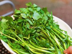 潮汕西洋菜-汕头八合里海记牛肉店(清河店)