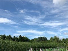 -同里国家湿地公园