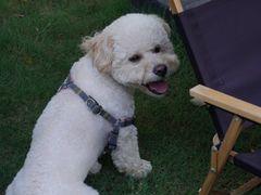 -J Create城市露营咖啡·简餐·宠物(上海动物园店)