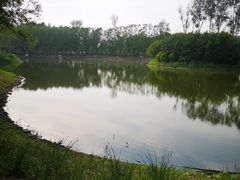-东郊湿地公园