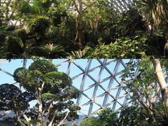 -上海辰山植物园