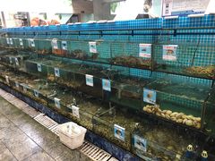 水产区-范饭椰林川湘味海鲜·椰子鸡(三亚湾椰梦长廊店)
