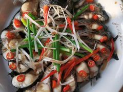 -天鹅到家·保姆月嫂育儿嫂(总店)
