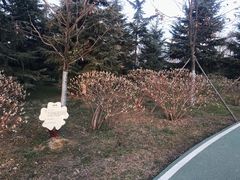 -洨河生态公园