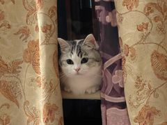 -爱侣宠医·鹦鹉专科·小型哺乳类·异宠专科(灵石路店)