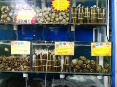 水产区-蚝专家(北滘店)