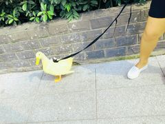 -南京路步行街