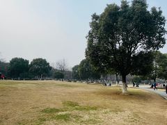 -南京市江宁方山