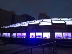 -佰德观岚记羽毛球馆