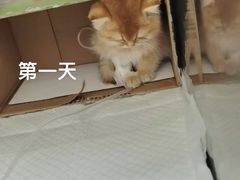 -美联众合爱康动物医院•复杂内科•肿瘤科•牙科•腔镜诊疗中心