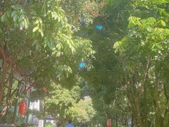 -晓雯人家