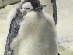 -珠海长隆海洋王国