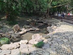 -兰亭风景区
