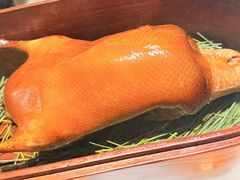 -鹿园 MOOSE(长宁店)