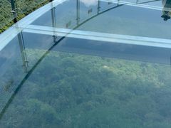 -亚龙湾热带天堂森林公园