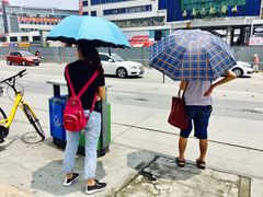 -隆氏兔头(七道堰店)