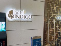 -香港港岛英迪格酒店