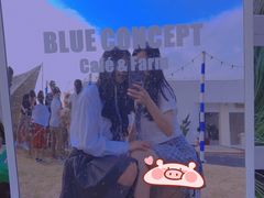 -Blue Concept Cafe&Farm·關於藍