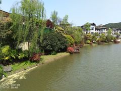 -铁山坪森林公园