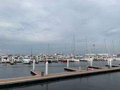 -东港音乐喷泉广场