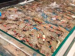 -威海蓝海御华大饭店·蓝钻美食自助百汇