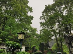 -南山植物园