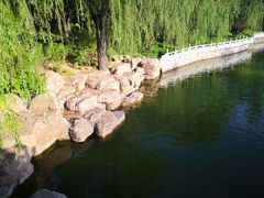 -迎泽公园