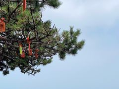 -香山公园