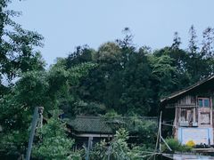 -碧峰峡风景区