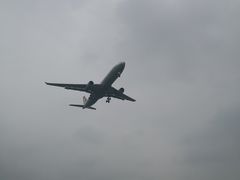 -空港花田景区