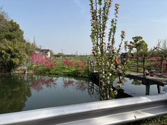 -嘉北郊野公园