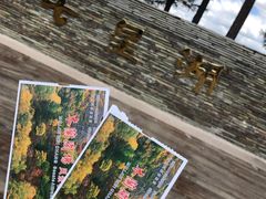 -塞罕坝国家级自然保护区