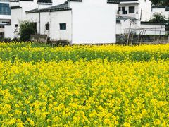 -绩溪龙川景区