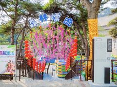 -沂蒙山旅游区龟蒙景区
