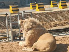-秦皇岛野生动物园