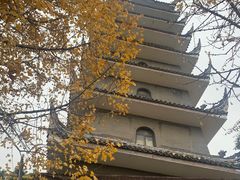 -生宇山珍野生菌汤锅•始于1999(双流古塔店)