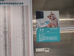 -伟伟宠物医院·CT影像中心·瑞派犬猫综合性门诊(汉口总院)