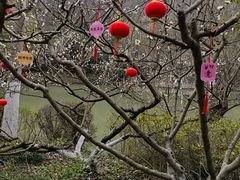 -南山风景名胜区