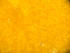 -金香匯晚茶(浑南店)