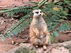 -广州长隆野生动物世界