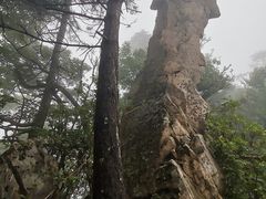 -老界岭旅游度假区