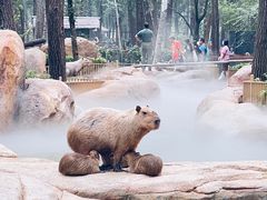 -北京野生动物园