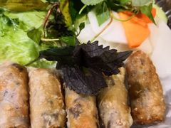 越南春卷-大头虾越式风味餐厅(光明广场店)