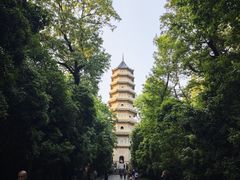-灵谷景区