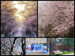-吉林大学(南岭校区)