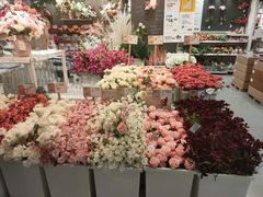 -宜家家居(哈尔滨商场店)