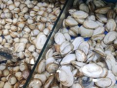 -港畔赶海蒸汽海鲜烧烤自助(仙螺岛店)